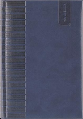 Tárgyalási napló, B5, DAYLINER, "Tucson", kék